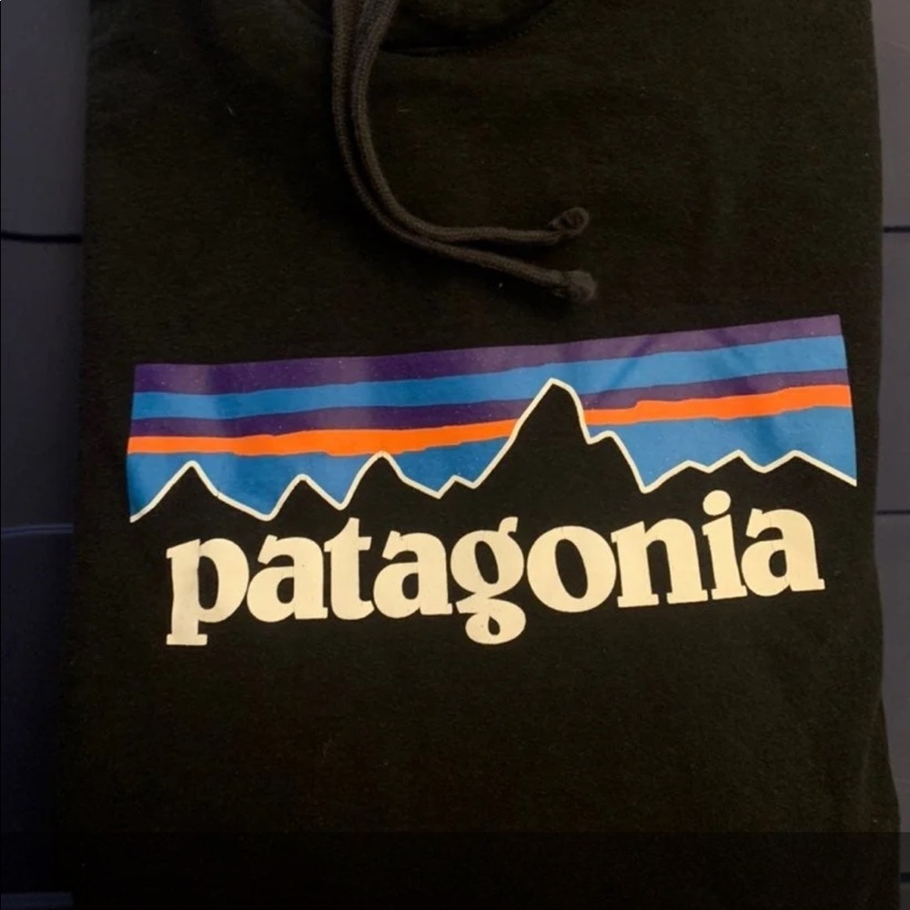 Patagonia hoodie